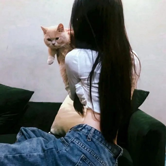 严重无视